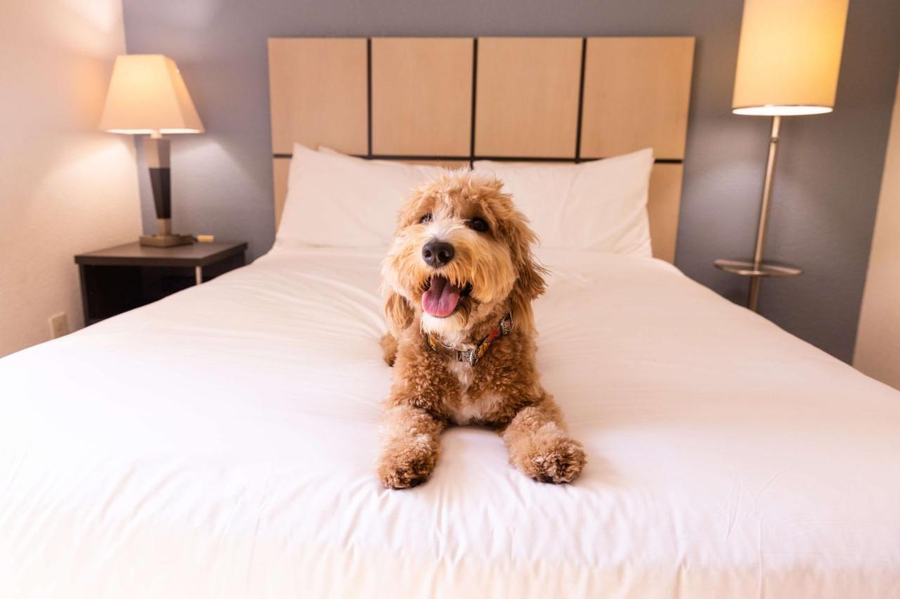 Sonesta Simply Suites Chicago Waukegan Dış mekan fotoğraf